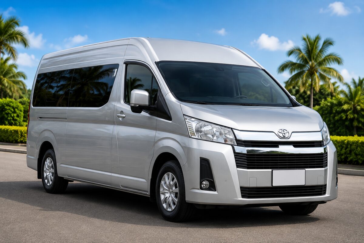 Minivan transportation option for Aya Centre groups